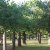 campingyuste (67)